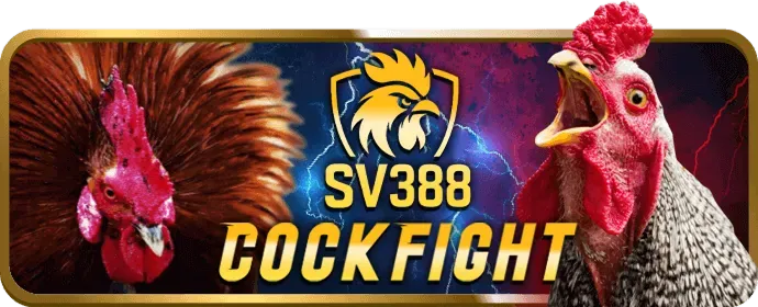 Hỗ trợ Câu lạc bộ VIP gowin casino
